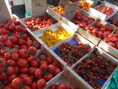 tomaten, in allerlei soorten en maten